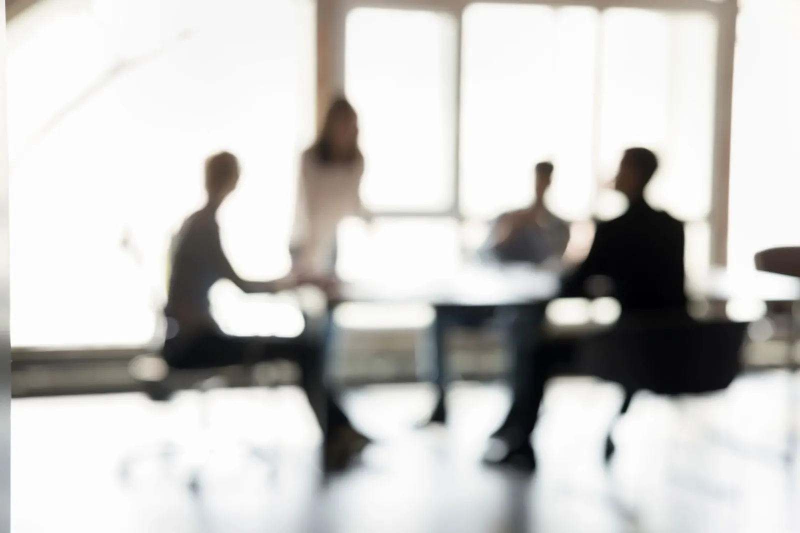 A government and industry consultation environment
